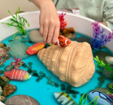 Yellow Door // Imaginative Play Shell